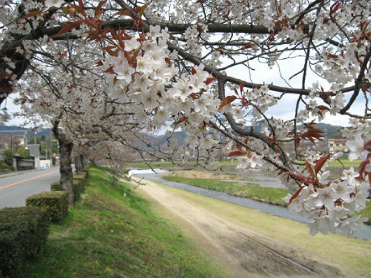 賀茂川 桜並木があり春はきれいです。運動公園もあり。