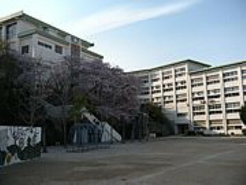 小学校 【小学校】川西市立 桜が丘小学校まで859m