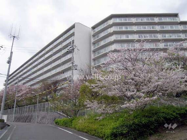 ウィル不動産販売 箕面営業所