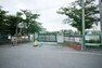 小学校 【小学校】京ヶ島小学校まで1598m