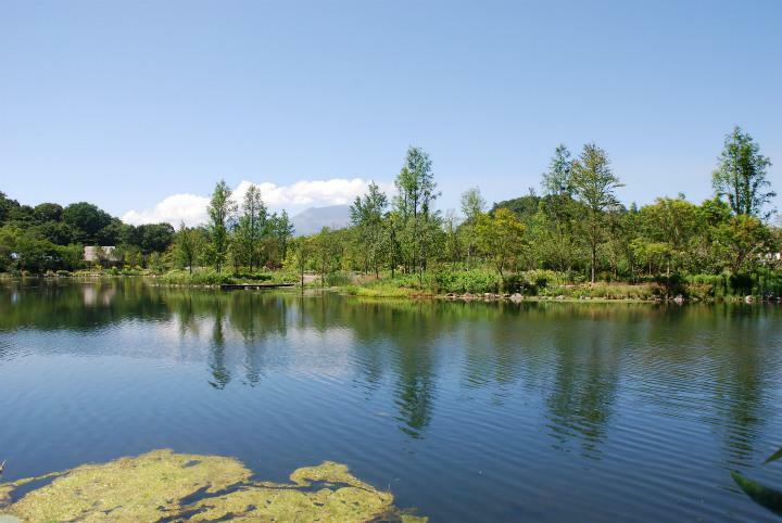公園 レマン湖
