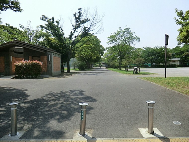 東綾瀬公園