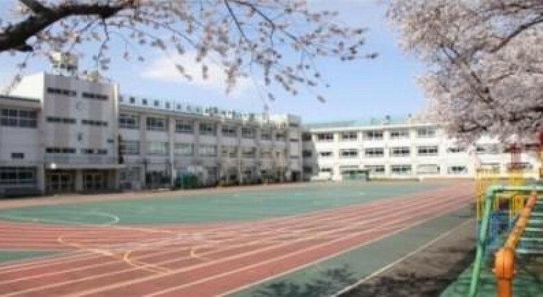 小学校 豊島区立さくら小学校　230m