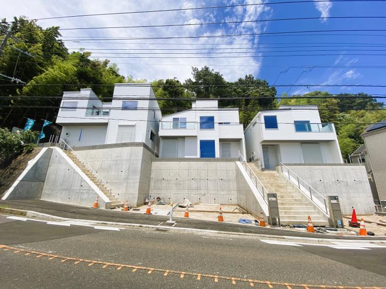 ダンデライズ