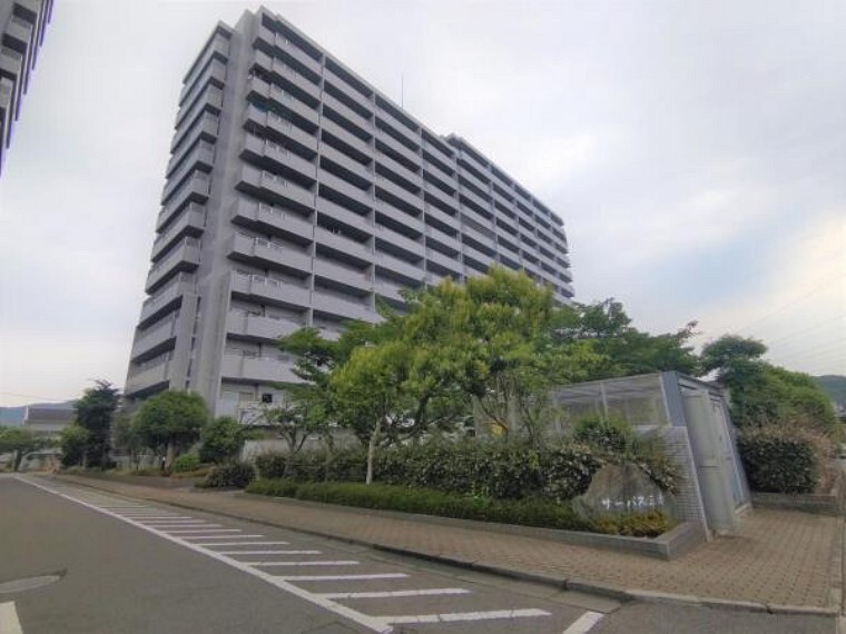カチタス松山店