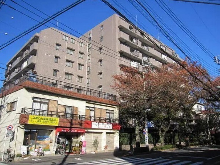 センチュリー21ネクストドア 花小金井店
