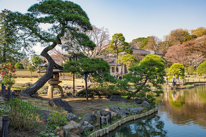 肥後細川庭園　徒歩8分です。