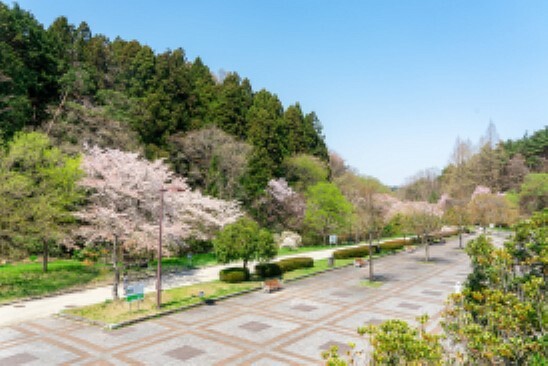 公園 現地から780m～880m。　台原森林公園　総面積は約60ヘクタールで、うち約50ヘクタールが国有林となっており、都会の一角でありながら森林が多く残されています。広域避難場所として利用でき収容可能人員は2.2万人。