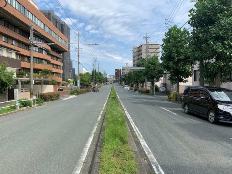 現況写真 前面道路