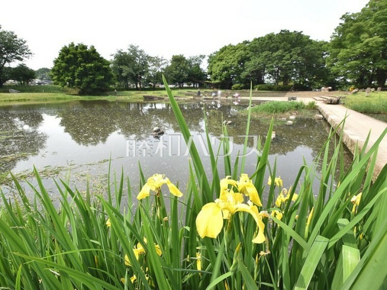 公園 清瀬金山緑地公園