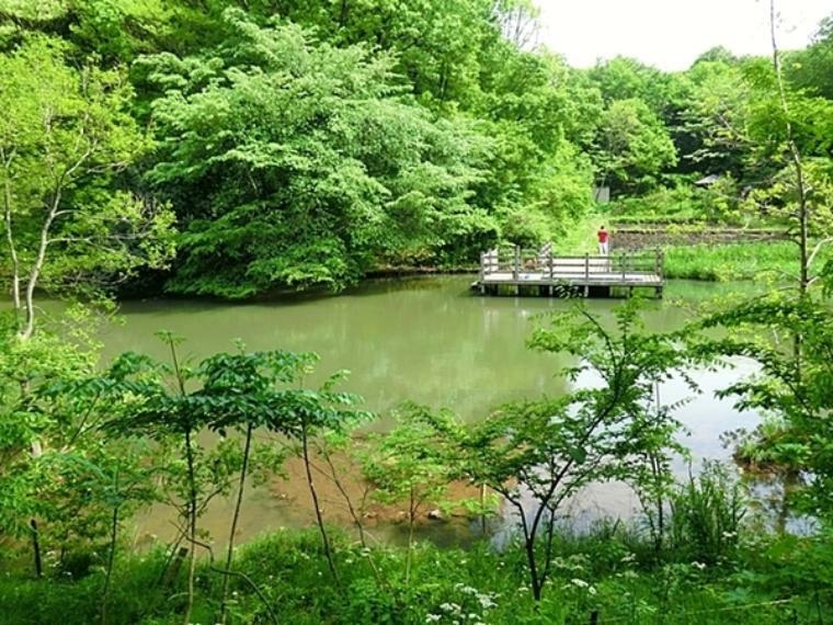 公園 茅ヶ崎公園 芝生広場、池・せせらぎ、樹林地、自然生態園というそれぞれ特色あるエリアがあり、散策や自然観察を楽しむことができます。