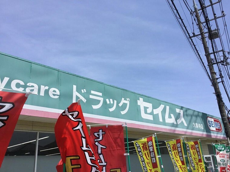 ドラッグストア ドラッグセイムス大楽寺店