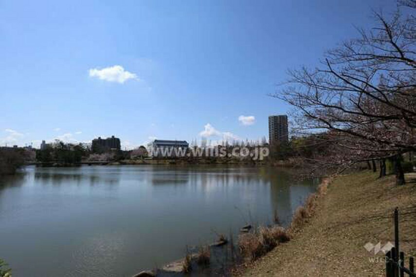 公園 杁ヶ池公園の外観