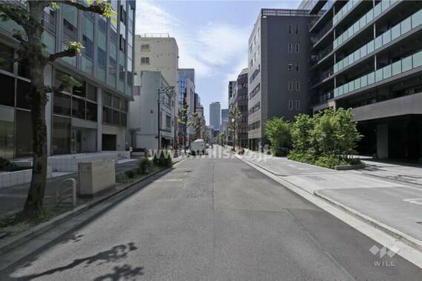 現況写真 敷地の南側前面道路（東側から）