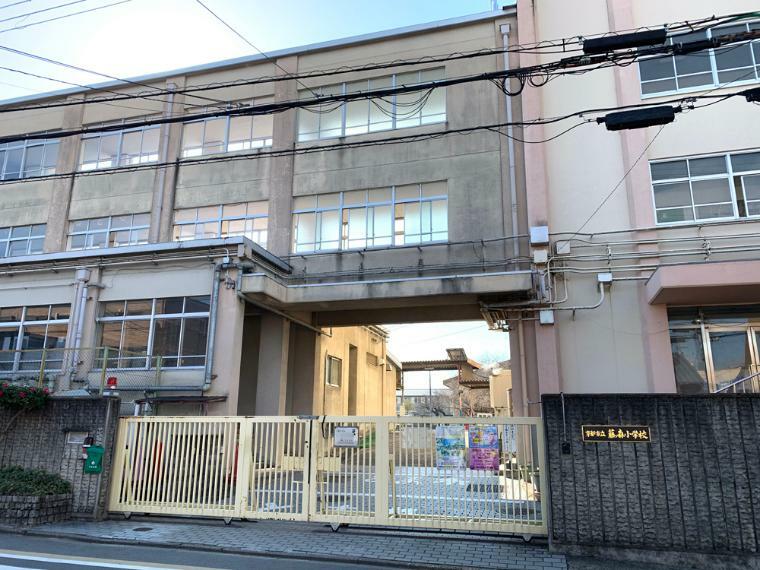 小学校 藤ノ森小学校