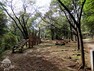 公園 【公園】八菅山いこいの森まで1185m
