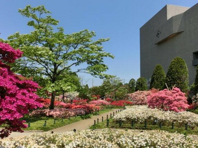 公園 平成つつじ公園まで約1200m