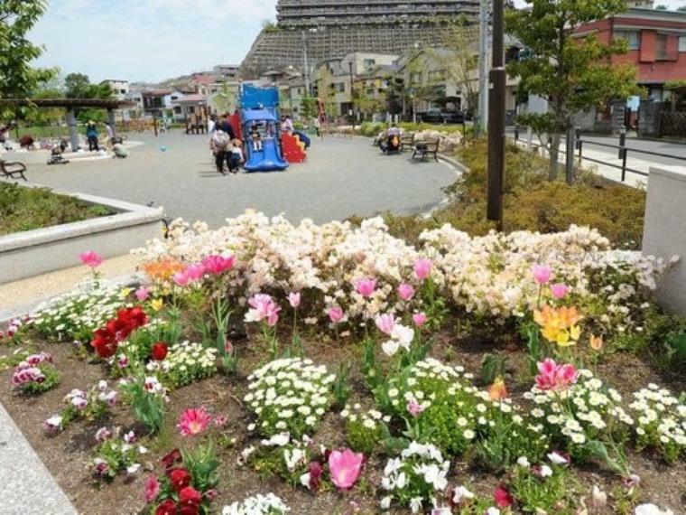 公園 大岡公園（ベンチなど整備された近隣公園。春には約60本もの桜の木を楽しむことができます。）