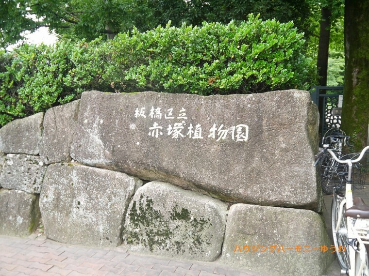 公園 【公園】赤塚植物園まで809m