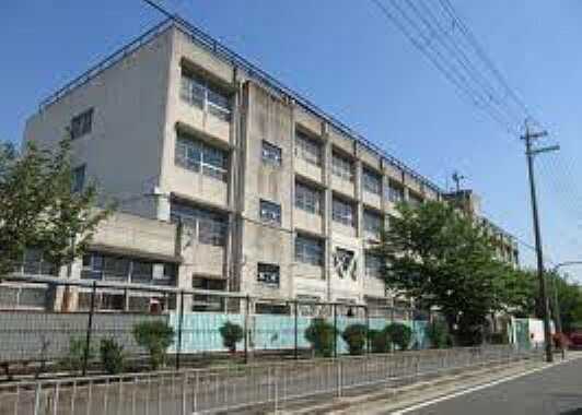 小学校 【小学校】東大阪市立加納小学校まで744m
