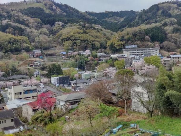 周辺の街並み 【眺望】お散歩コースにお勧めです。自然と調和した歴史ある修善寺温泉郷を一望。春には桜、秋には紅葉を楽しみながらのお散歩はいかでしょうか。