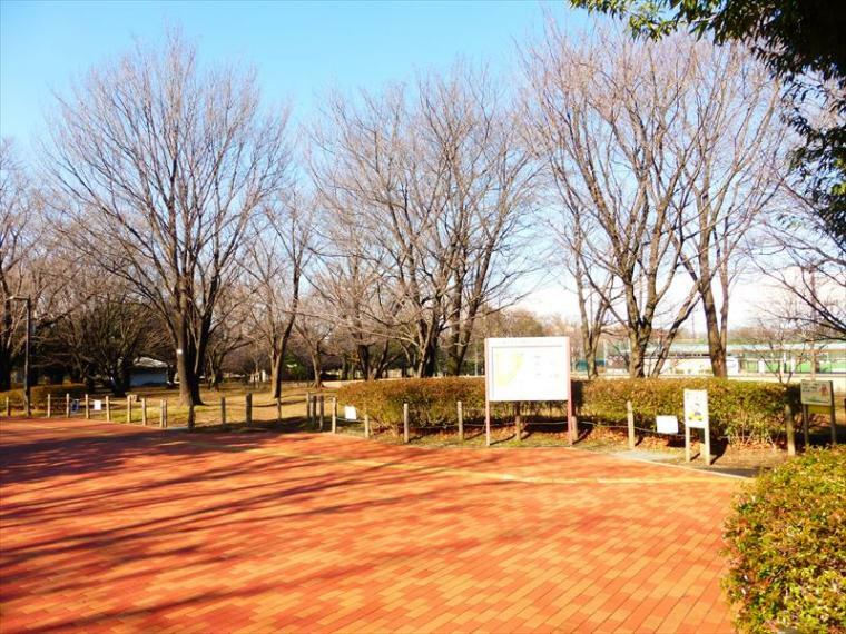 公園 大泉さくら運動公園