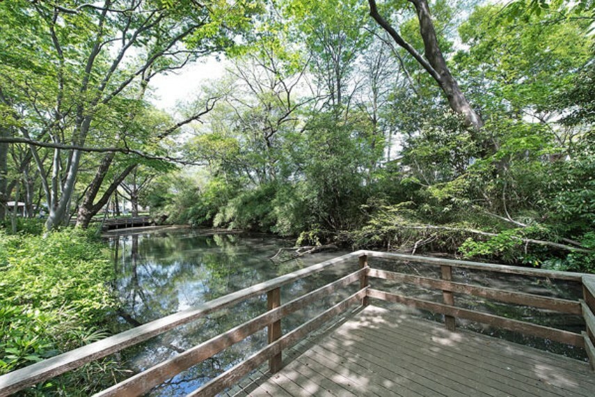 公園 仙波河岸史跡公園  新河岸川舟運の面影を伝える仙波河岸跡や、水や緑といった自然が多く残っており、歴史と自然を楽しむことができる歴史公園です。（現地より徒歩6分）