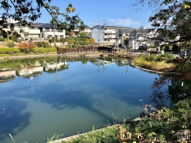 公園 【公園】立野台公園まで968m