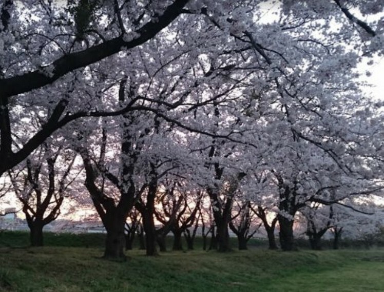 公園 【公園】坂本運動場まで3590m