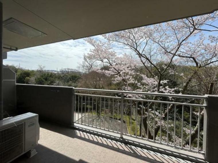 バルコニー 【リフォーム済】四季折々を感じられる眺望なので、今の季節だとリビングから桜が見れるので、ご自宅でお花見をできます。