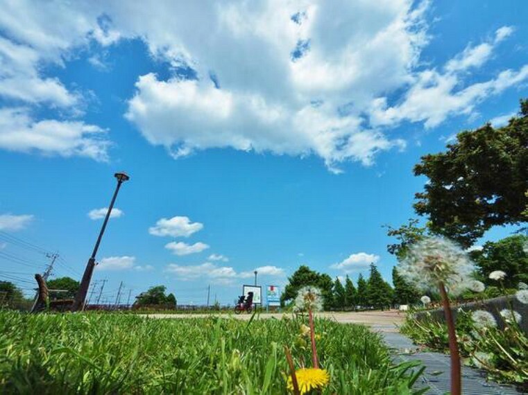 公園 都立六仙公園まで約175m