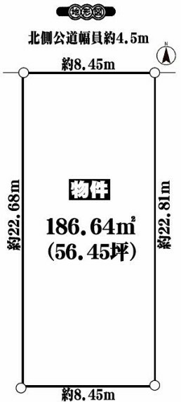 土地図面