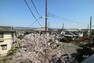 眺望 バルコニーからの眺め（南西方向）［2023年4月3日撮影］高い建物がなく、遠くまで見渡せ、日当たりも良好です。