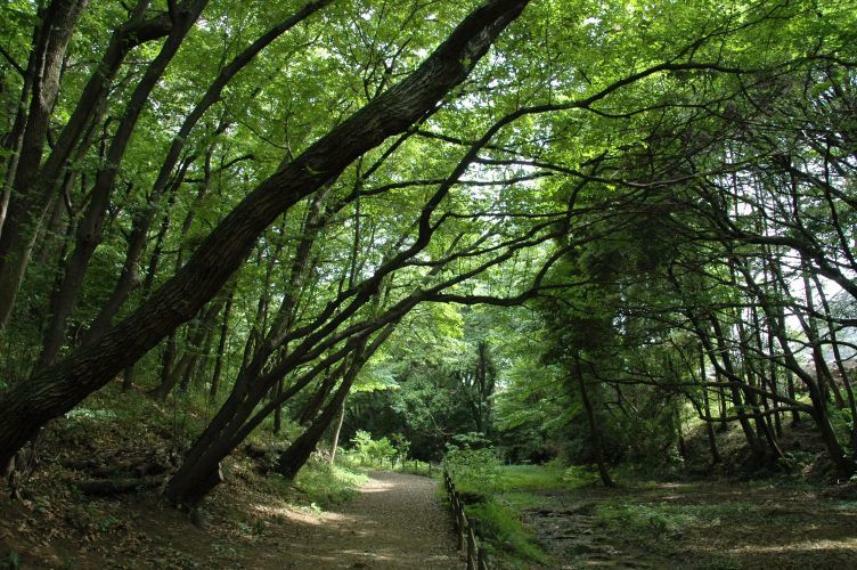 【公園】上和田野鳥の森まで1795m