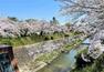 周辺の街並み 桜で有名な山崎川。散策やジョギングなど、平日も休日も楽しめる。