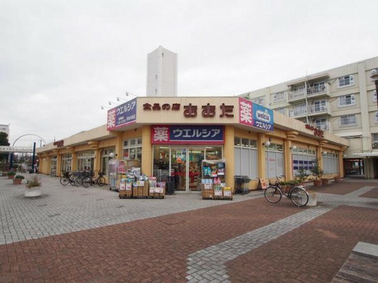 スーパー 食品の店おおた 町田木曽店まで約981m