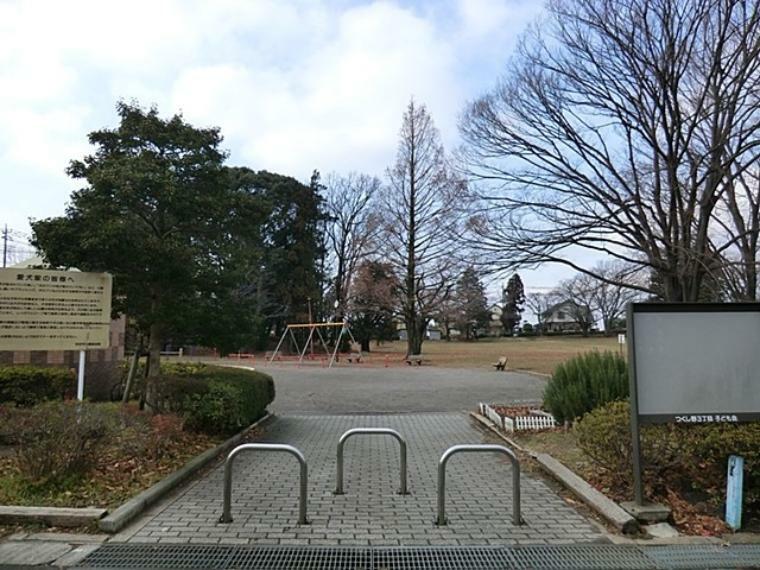 公園 つくし野セントラルパーク（公園の北側と南側には小山状の雑木林があり、散策を楽しむことができます。中央には平坦な広場があります。）