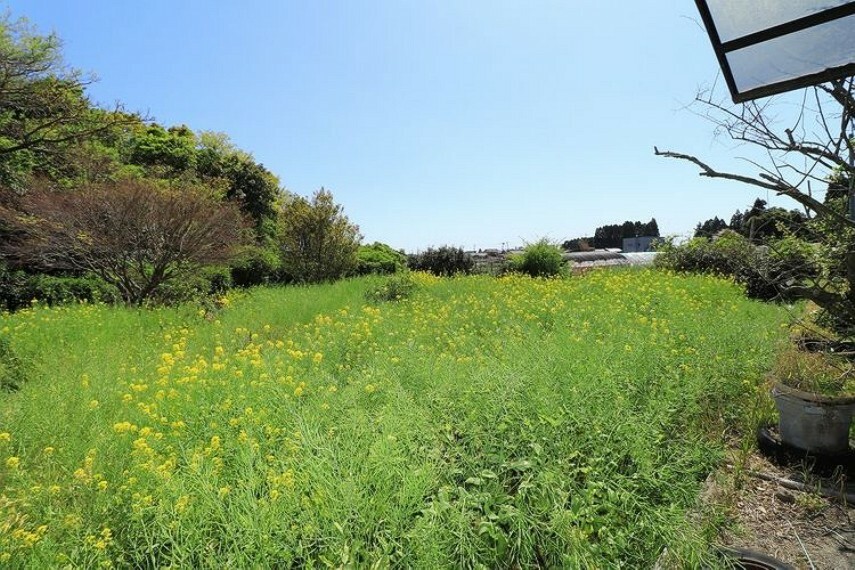 その他屋外