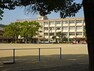 小学校 【武小学校】昭和12年に創立され、81年の歴史を有する。エリアは武町一帯と田上・唐湊・天神の一部・上荒田町の一部からなる。