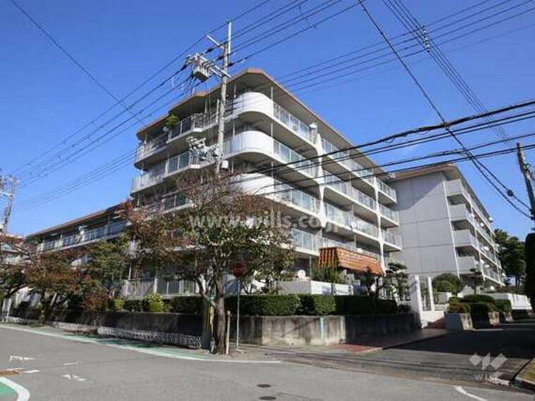 構造・工法・仕様 RC造5階建て