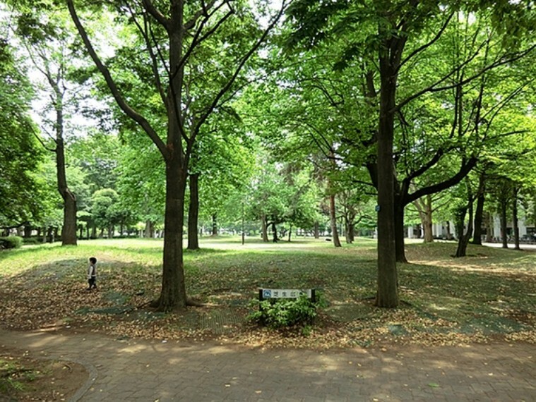 公園 東京都新宿区にある都立公園。休日にはファミリー層や若者など、多世代交流の場となっています。