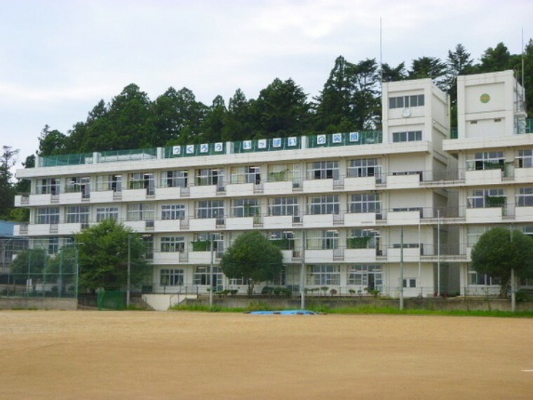中学校 仙台市立第一中学校　850m（徒歩11分）