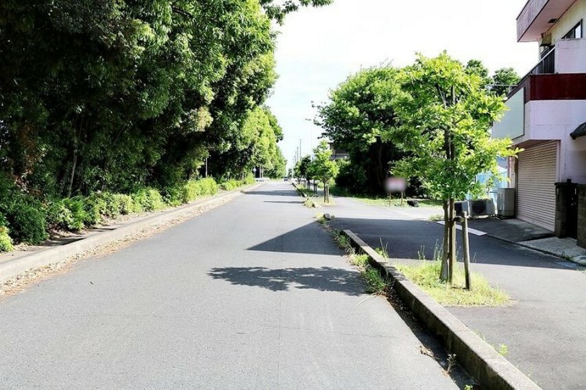 現況写真 前面道路含む現地写真