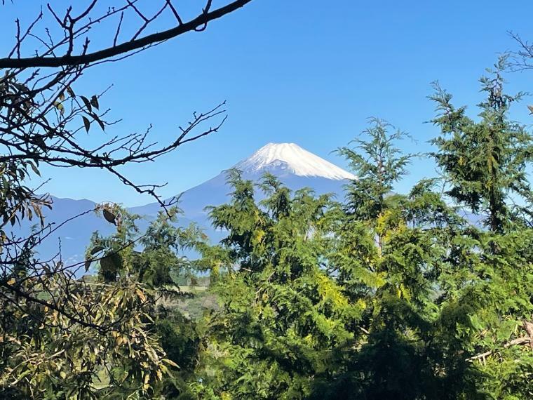 眺望 洋室より富士山望む