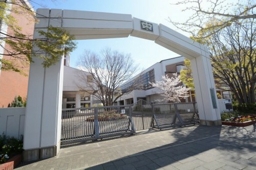 中学校 【中学校】神戸市立向洋中学校まで557m