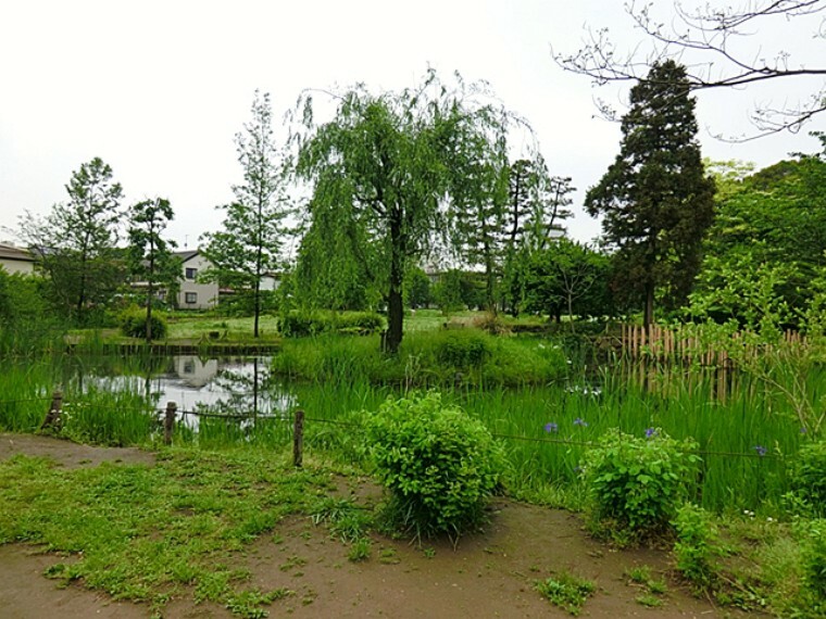 公園 丸池公園