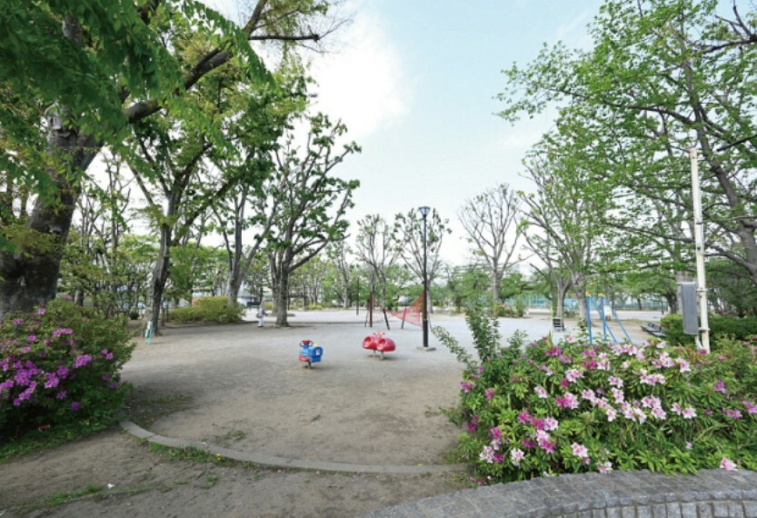 公園 現地から540m（最長）　成増北第一公園　園内には大型遊具や広場はもちろん、ローラースケート専用エリアや幼児対象の小さなプールがあるのが特徴の公園です。