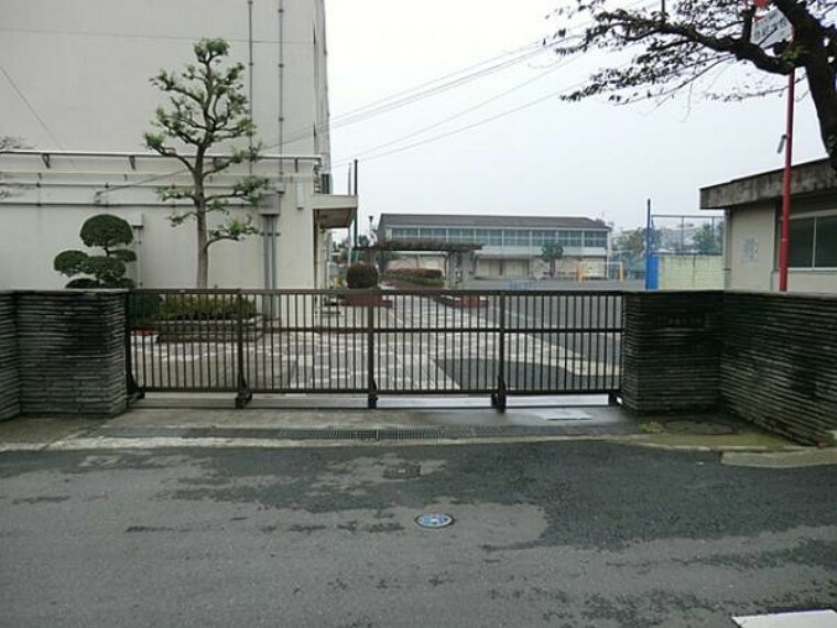 小学校 横浜市立中丸小学校　750m