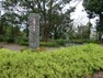 公園 神奈川県立保土ヶ谷公園　約350m