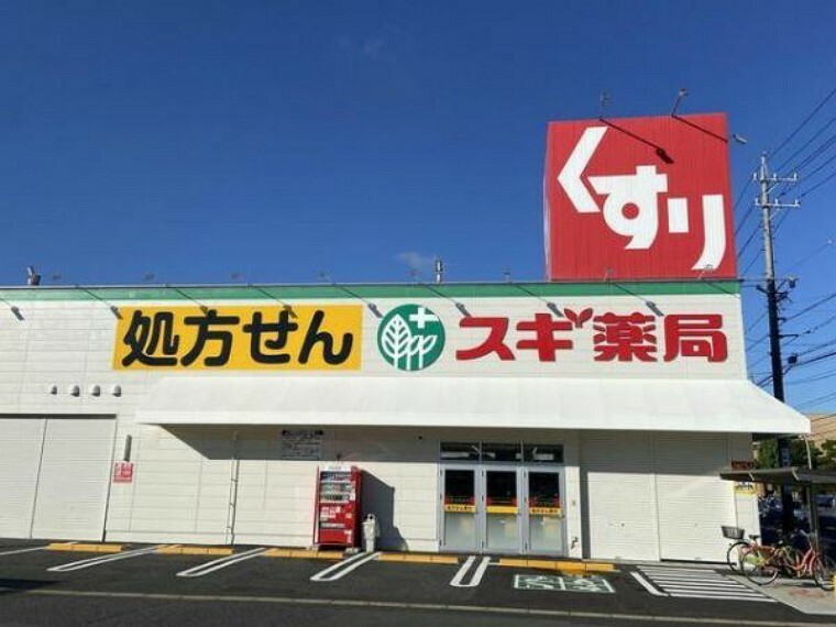 ドラッグストア スギドラッグ岡崎上和田店